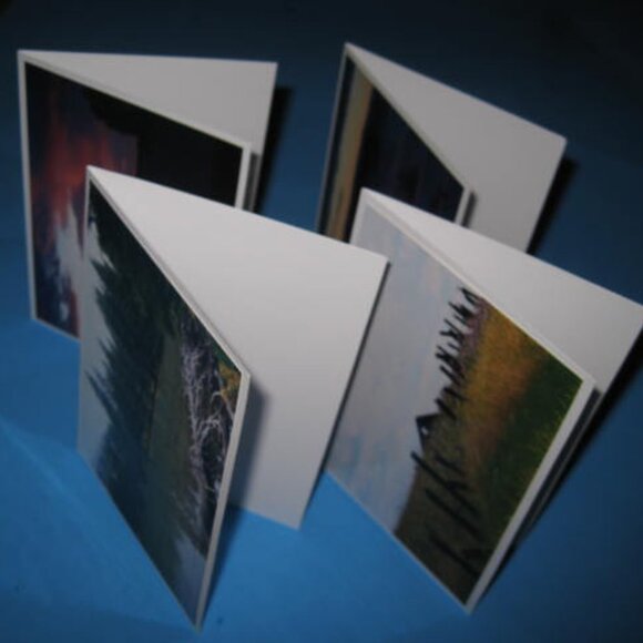 Lot of 4 Real Photo Art Print Cards Lot #2 - Picture 5 of 7